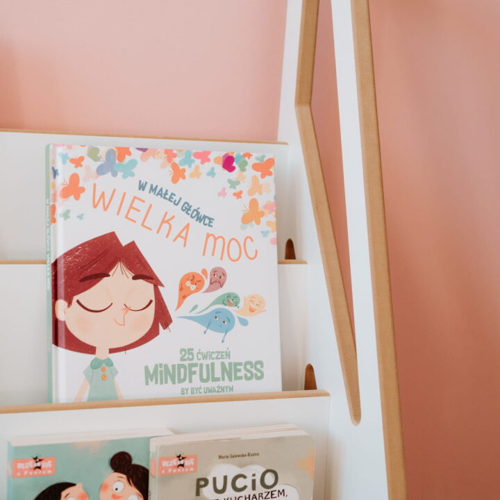 MINI Montessori Knygų Lentyna