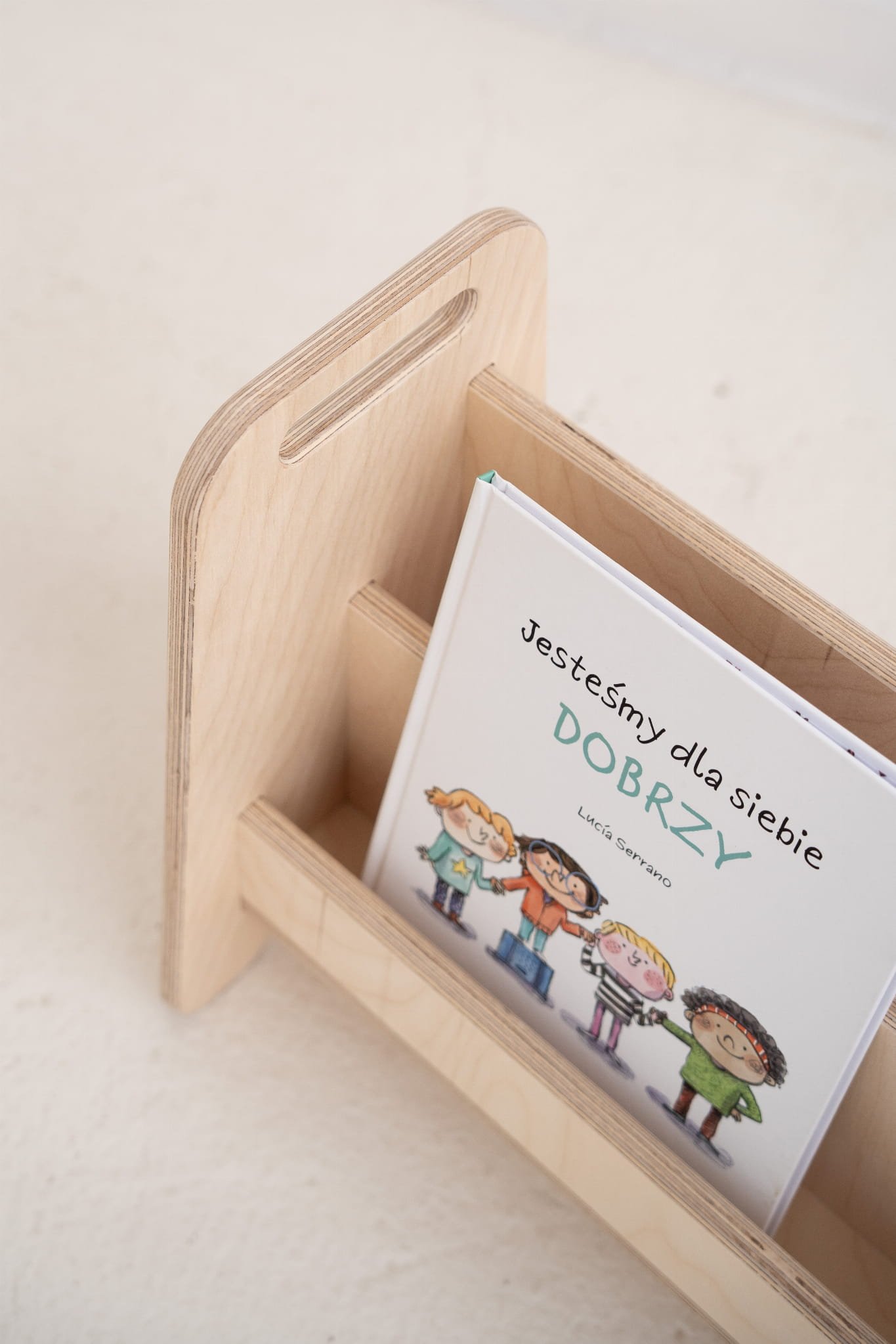 S Dydžio Montessori Knygų Lentyna