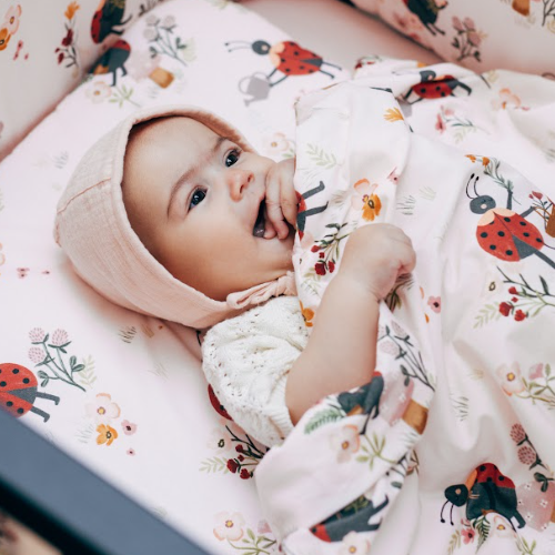 Medvilninė Paklodė su Guma BORUŽĖLĖ