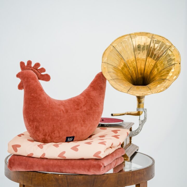 Močiutės Medvilninė Pagalvė-Višta GINGER