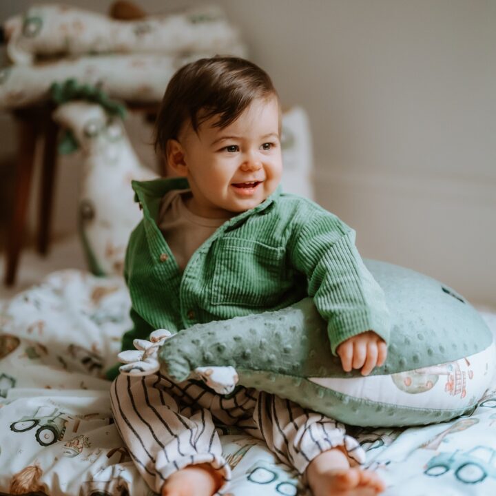 Močiutės Minkšta Pagalvėlė-Višta ABC FERMA