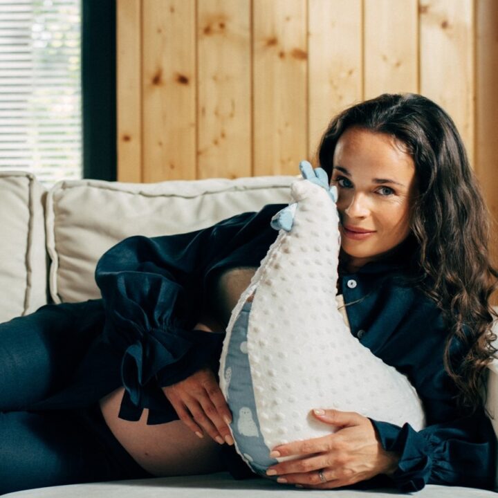 Močiutės Minkšta Pagalvėlė-Višta ARKTIES DRAUGAI