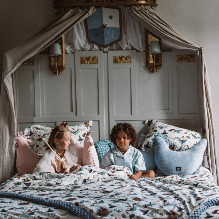 Močiutės Minkšta Pagalvėlė-Višta PRINCAS