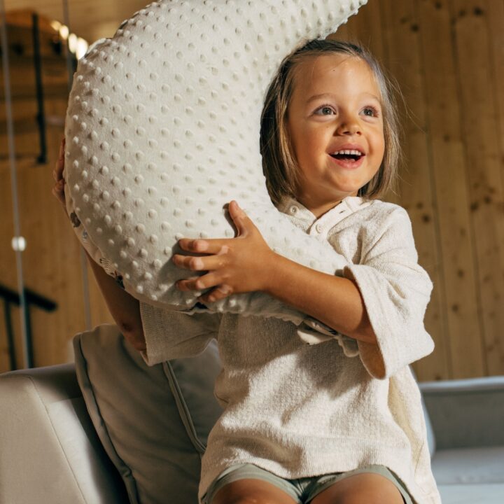 Močiutės Minkšta Pagalvėlė-Višta TAKSIUKAS