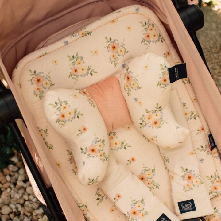 Angeliuko Sparnai Pagalvėlė SODAS