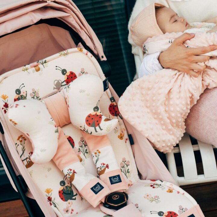 Vežimėlio Kėdutės Įdėklas BORUŽĖLĖ