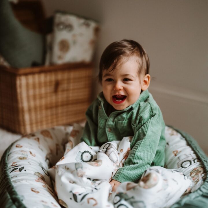 Pagalvėlė Angeliuko Sparnai ABC FERMA