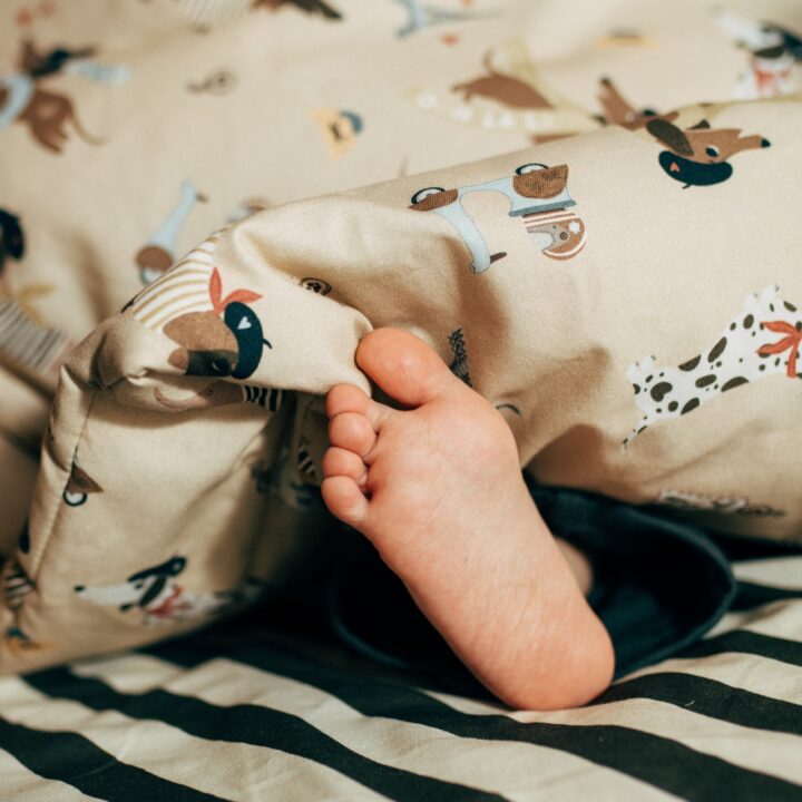 Medvilninė Antklodė TAKSIUKAS