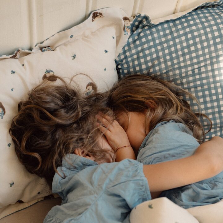 Medvilninė Miego Pagalvė UOGOS EŽIUKAS